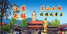 日本啪啪啪一区二区视频江苏无锡灵山大佛旅游风景区