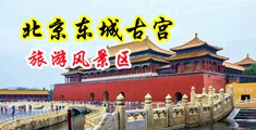 偷拍大鸡巴操屄中国北京-东城古宫旅游风景区